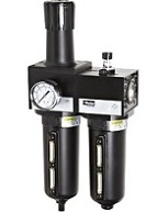 Bộ lọc đôi model: P3NCA Parker